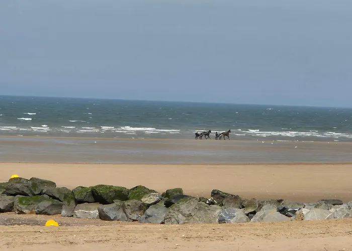 T2 Belle Vue Proche Thalasso - Piscine Et Tennis *